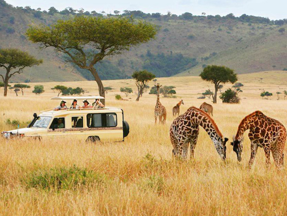 Namibia Africa trip