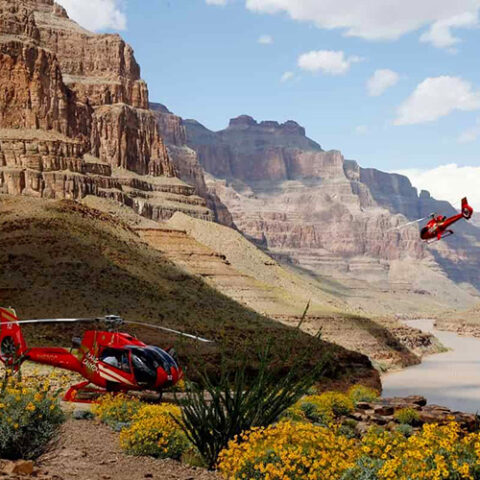 Grand Canyon 2025 Trip - Beatrice Bradley