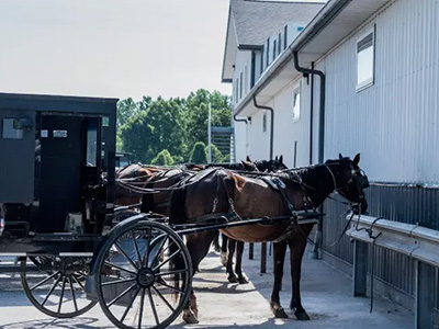 Amish Experience