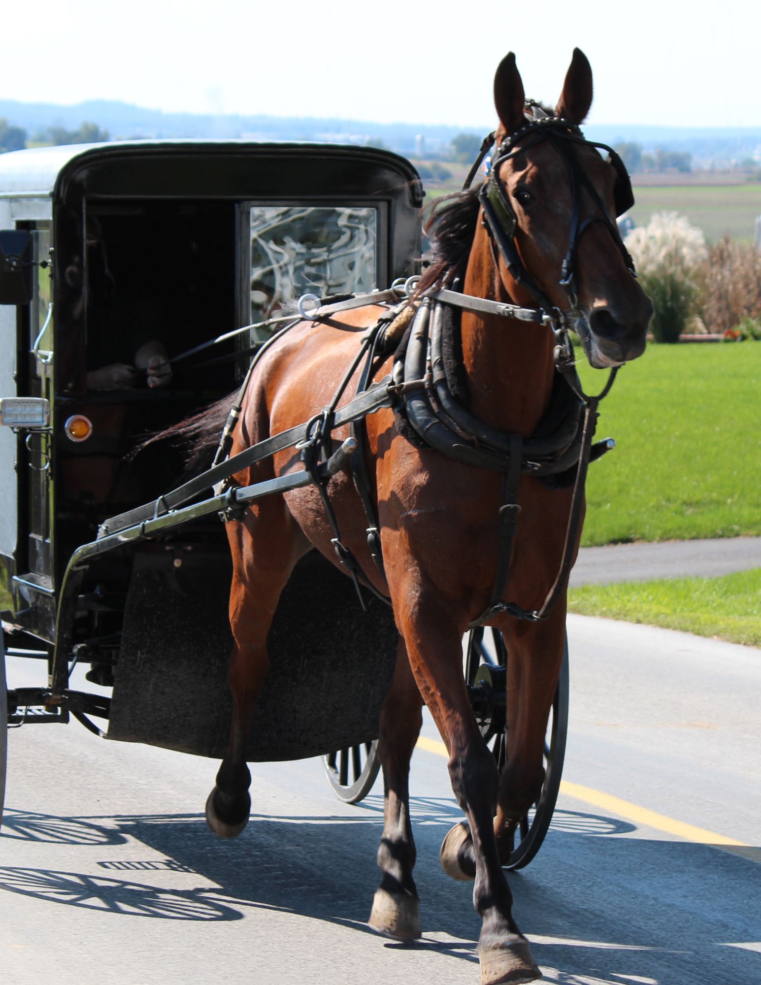 Amish Experience