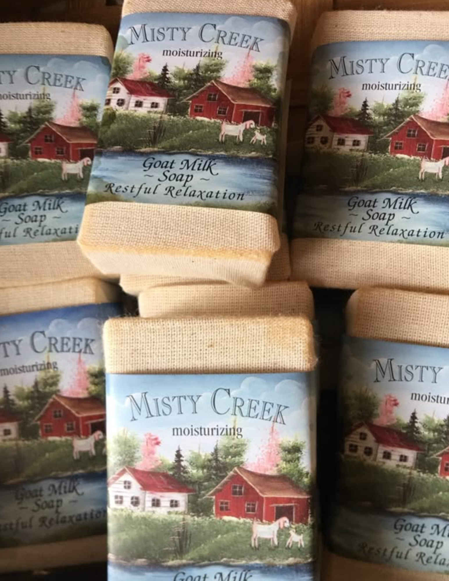 Amish Experience