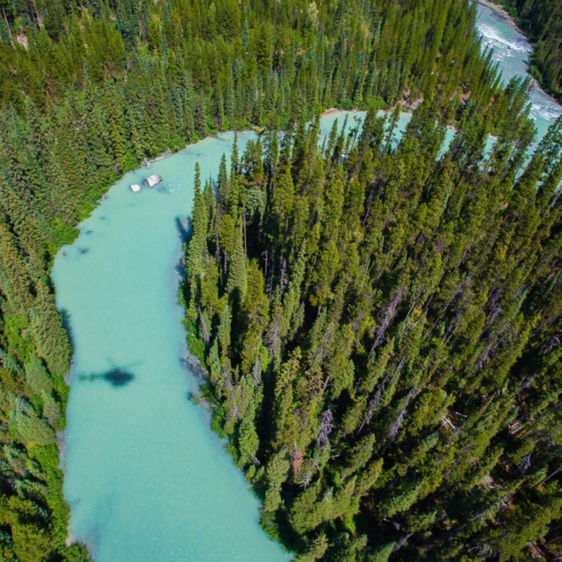 glacier national park trip